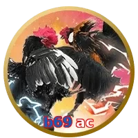 b69 ac