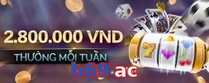 b69 ac